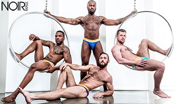 Great gay porn paysite with black men